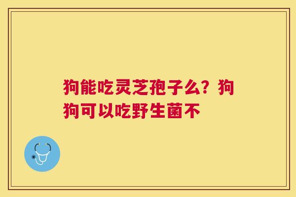 狗能吃灵芝孢子么？狗狗可以吃野生菌不
