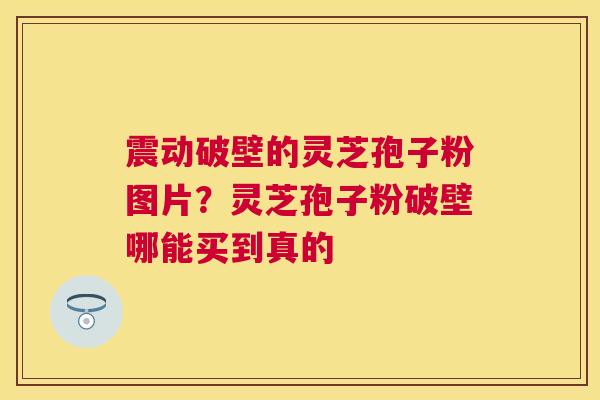 震动破壁的灵芝孢子粉图片?灵芝孢子粉破壁哪能买到真的 震动破壁的灵芝孢子粉图片?灵芝孢子粉破壁哪能买到真的
