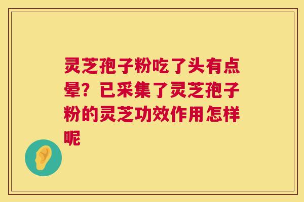 灵芝孢子粉吃了头有点晕?已采集了灵芝孢子粉的灵芝功效作用怎样呢 灵芝孢子粉吃了头有点晕?已采集了灵芝孢子粉的灵芝功效作用怎样呢