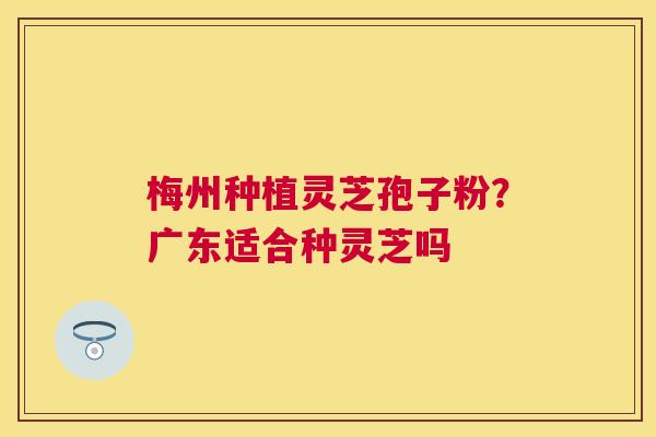梅州种植灵芝孢子粉？广东适合种灵芝吗