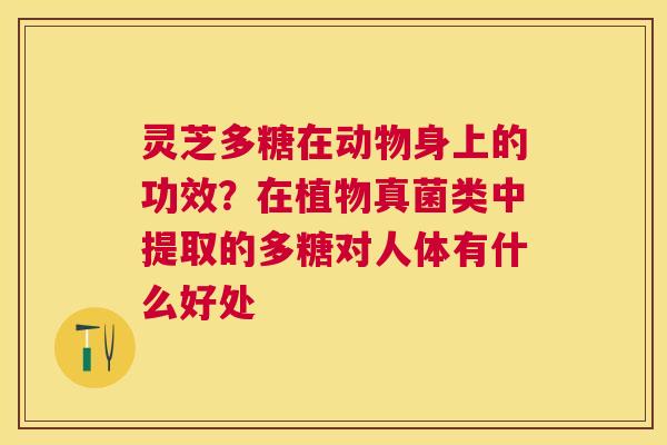 灵芝多糖在动物身上的功效?在植物真菌类中提取的多糖对人体有什么好处 灵芝多糖在动物身上的功效?在植物真菌类中提取的多糖对人体有什么好处