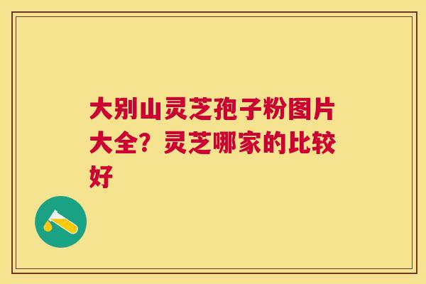 大别山灵芝孢子粉图片大全？灵芝哪家的比较好