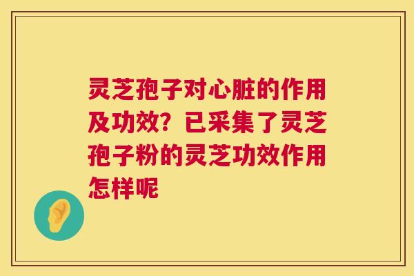 灵芝孢子对的作用及功效？已采集了灵芝孢子粉的灵芝功效作用怎样呢