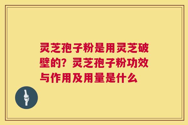 灵芝孢子粉是用灵芝破壁的?灵芝孢子粉功效与作用及用量是什么 灵芝孢子粉是用灵芝破壁的?灵芝孢子粉功效与作用及用量是什么
