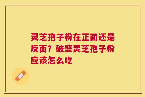 灵芝孢子粉在正面还是反面？破壁灵芝孢子粉应该怎么吃