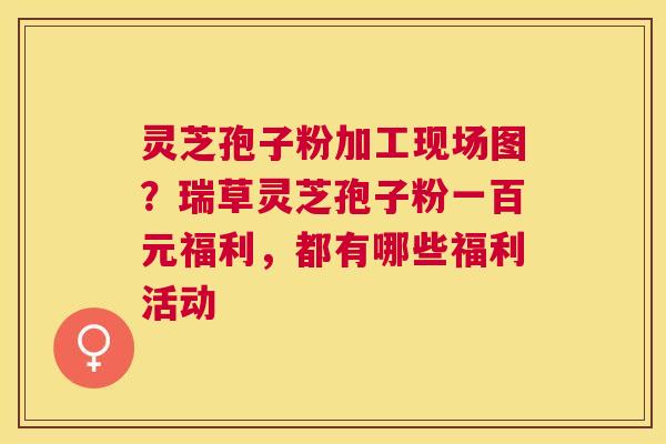 灵芝孢子粉加工现场图?瑞草灵芝孢子粉一百元福利,都有哪些福利活动 灵芝孢子粉加工现场图?瑞草灵芝孢子粉一百元福利,都有哪些福利活动