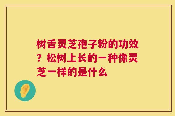 树舌灵芝孢子粉的功效？松树上长的一种像灵芝一样的是什么