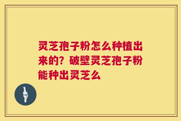 灵芝孢子粉怎么种植出来的?破壁灵芝孢子粉能种出灵芝么 灵芝孢子粉怎么种植出来的?破壁灵芝孢子粉能种出灵芝么