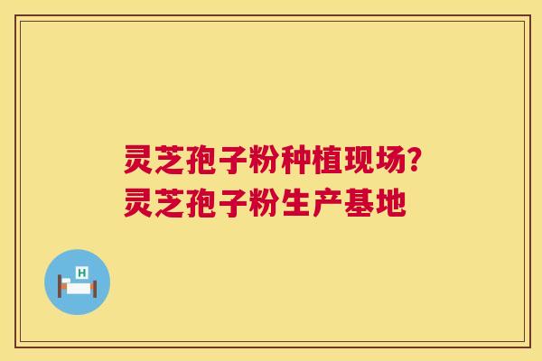 灵芝孢子粉种植现场?灵芝孢子粉生产基地 灵芝孢子粉种植现场?灵芝孢子粉生产基地