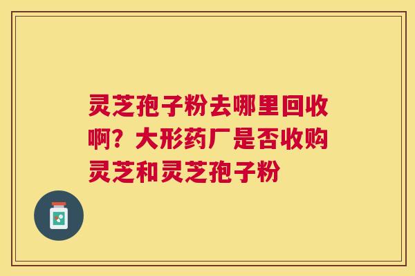 灵芝孢子粉去哪里回收啊?大形药厂是否收购灵芝和灵芝孢子粉 灵芝孢子粉去哪里回收啊?大形药厂是否收购灵芝和灵芝孢子粉