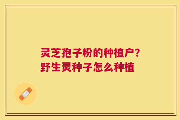 灵芝孢子粉的种植户?野生灵种子怎么种植 灵芝孢子粉的种植户?野生灵种子怎么种植