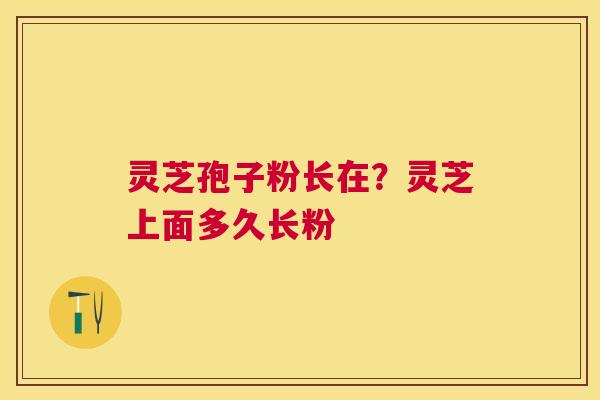灵芝孢子粉长在？灵芝上面多久长粉