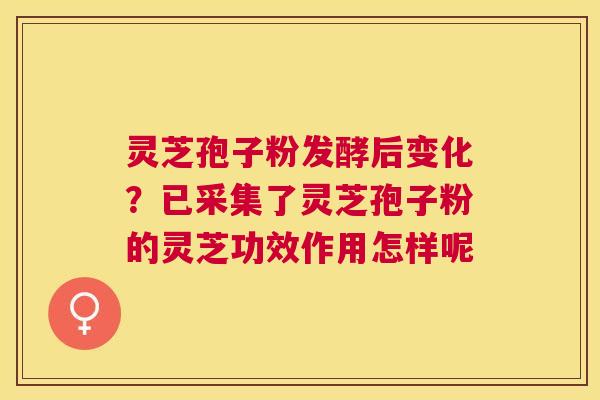 灵芝孢子粉发酵后变化?已采集了灵芝孢子粉的灵芝功效作用怎样呢 灵芝孢子粉发酵后变化?已采集了灵芝孢子粉的灵芝功效作用怎样呢
