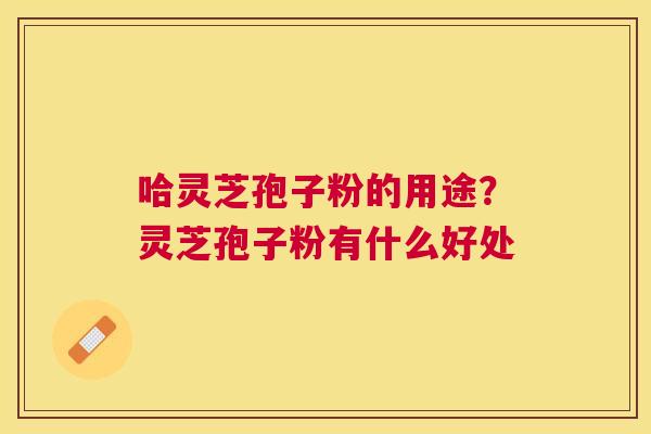 哈灵芝孢子粉的用途？灵芝孢子粉有什么好处