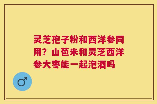 灵芝孢子粉和西洋参同用?山苞米和灵芝西洋参大枣能一起泡酒吗 灵芝孢子粉和西洋参同用?山苞米和灵芝西洋参大枣能一起泡酒吗