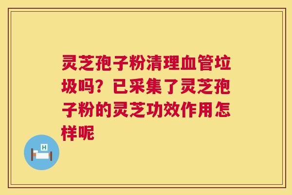 灵芝孢子粉清理垃圾吗?已采集了灵芝孢子粉的灵芝功效作用怎样呢 灵芝孢子粉清理垃圾吗?已采集了灵芝孢子粉的灵芝功效作用怎样呢