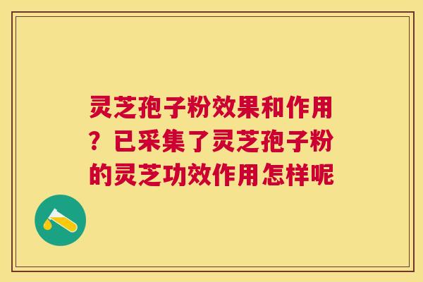 灵芝孢子粉效果和作用？已采集了灵芝孢子粉的灵芝功效作用怎样呢