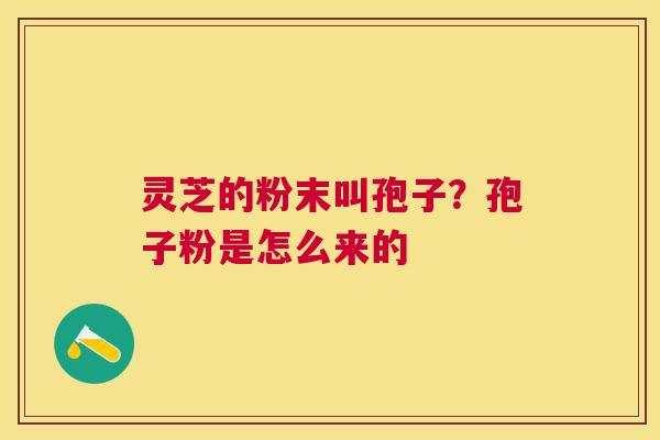 灵芝的粉末叫孢子？孢子粉是怎么来的