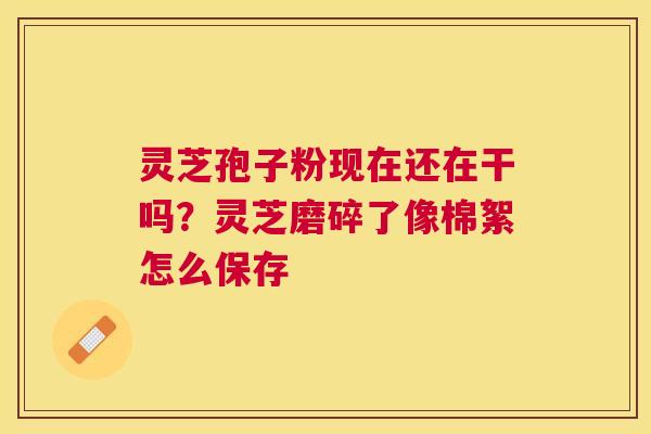 灵芝孢子粉现在还在干吗？灵芝磨碎了像棉絮怎么保存
