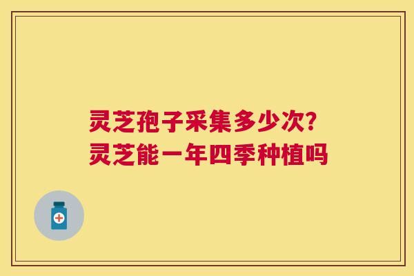 灵芝孢子采集多少次？灵芝能一年四季种植吗
