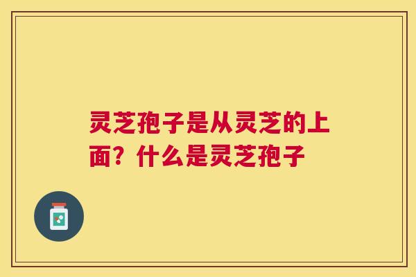 灵芝孢子是从灵芝的上面?什么是灵芝孢子 灵芝孢子是从灵芝的上面?什么是灵芝孢子