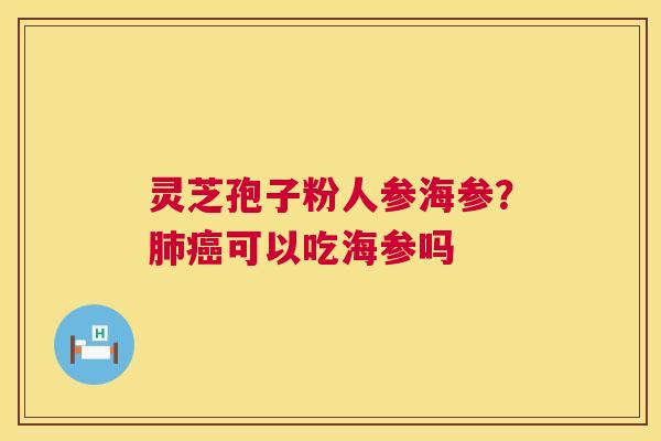 灵芝孢子粉人参海参？可以吃海参吗