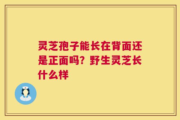 灵芝孢子能长在背面还是正面吗?野生灵芝长什么样 灵芝孢子能长在背面还是正面吗?野生灵芝长什么样