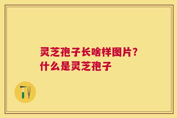 灵芝孢子长啥样图片?什么是灵芝孢子 灵芝孢子长啥样图片?什么是灵芝孢子