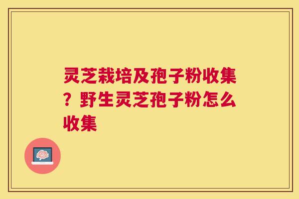 灵芝栽培及孢子粉收集?野生灵芝孢子粉怎么收集 灵芝栽培及孢子粉收集?野生灵芝孢子粉怎么收集