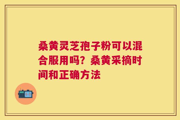 桑黄灵芝孢子粉可以混合服用吗？桑黄采摘时间和正确方法