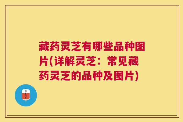 藏药灵芝有哪些品种图片(详解灵芝:常见藏药灵芝的品种及图片) 藏药灵芝有哪些品种图片(详解灵芝:常见藏药灵芝的品种及图片)