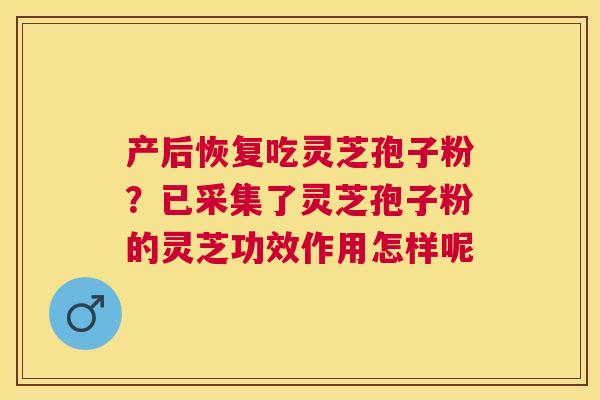 产后恢复吃灵芝孢子粉?已采集了灵芝孢子粉的灵芝功效作用怎样呢 产后恢复吃灵芝孢子粉?已采集了灵芝孢子粉的灵芝功效作用怎样呢