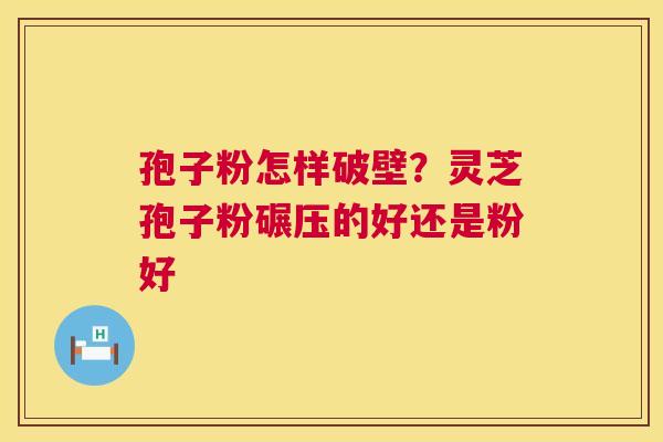 孢子粉怎样破壁?灵芝孢子粉碾压的好还是粉好 孢子粉怎样破壁?灵芝孢子粉碾压的好还是粉好