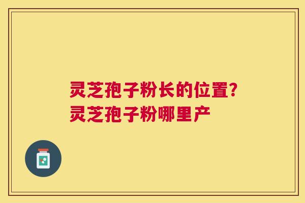 灵芝孢子粉长的位置?灵芝孢子粉哪里产 灵芝孢子粉长的位置?灵芝孢子粉哪里产