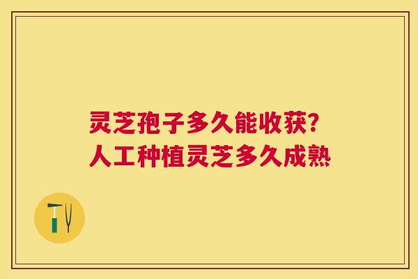 灵芝孢子多久能收获?人工种植灵芝多久成熟 灵芝孢子多久能收获?人工种植灵芝多久成熟