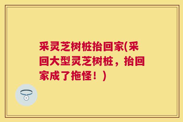 采灵芝树桩抬回家(采回大型灵芝树桩,抬回家成了拖怪!) 采灵芝树桩抬回家(采回大型灵芝树桩,抬回家成了拖怪!)