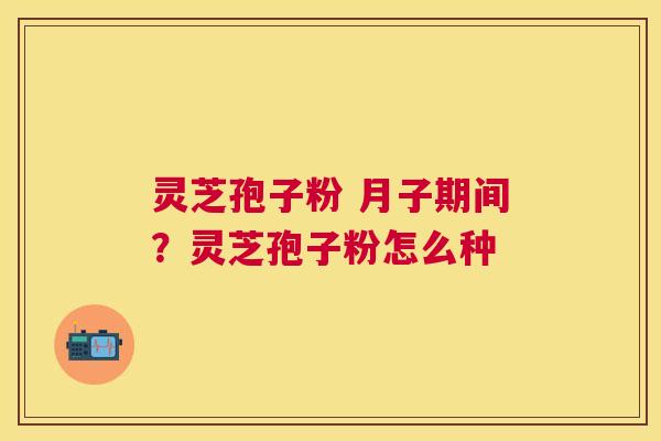 灵芝孢子粉 月子期间?灵芝孢子粉怎么种 灵芝孢子粉 月子期间?灵芝孢子粉怎么种