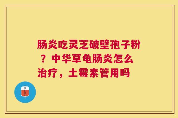 吃灵芝破壁孢子粉 ？中华草龟怎么，土霉素管用吗