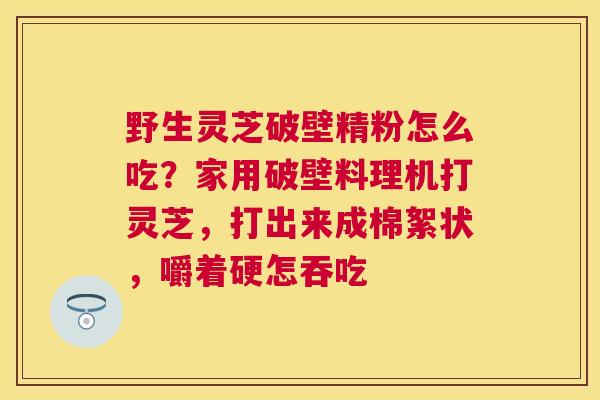 野生灵芝破壁精粉怎么吃？家用破壁料理机打灵芝，打出来成棉絮状，嚼着硬怎吞吃