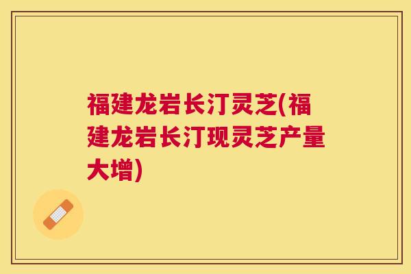 福建龙岩长汀灵芝(福建龙岩长汀现灵芝产量大增) 福建龙岩长汀灵芝(福建龙岩长汀现灵芝产量大增)