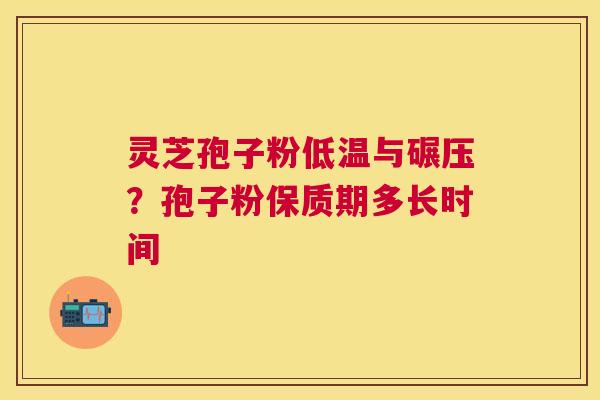 灵芝孢子粉低温与碾压？孢子粉保质期多长时间