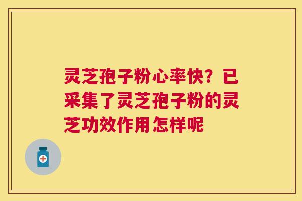 灵芝孢子粉心率快?已采集了灵芝孢子粉的灵芝功效作用怎样呢 灵芝孢子粉心率快?已采集了灵芝孢子粉的灵芝功效作用怎样呢