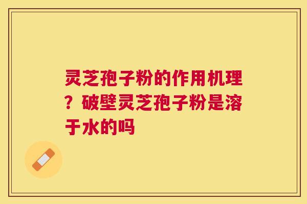 灵芝孢子粉的作用机理？破壁灵芝孢子粉是溶于水的吗