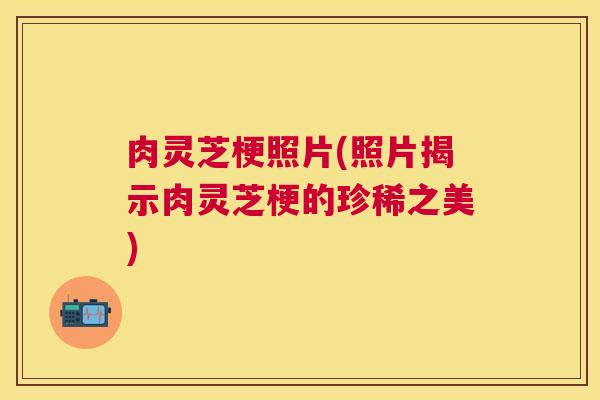 肉灵芝梗照片(照片揭示肉灵芝梗的珍稀之美) 肉灵芝梗照片(照片揭示肉灵芝梗的珍稀之美)