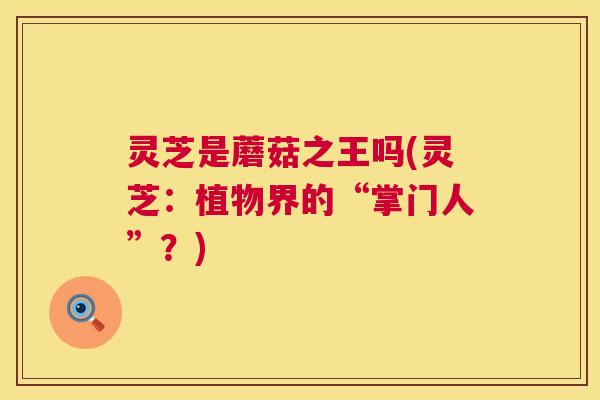 灵芝是蘑菇之王吗(灵芝:植物界的“掌门人”?) 灵芝是蘑菇之王吗(灵芝:植物界的“掌门人”?)