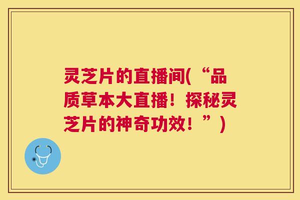 灵芝片的直播间(“品质草本大直播!探秘灵芝片的神奇功效!”) 灵芝片的直播间(“品质草本大直播!探秘灵芝片的神奇功效!”)