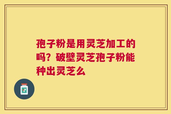 孢子粉是用灵芝加工的吗？破壁灵芝孢子粉能种出灵芝么