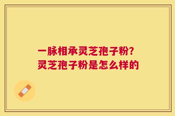 一脉相承灵芝孢子粉?灵芝孢子粉是怎么样的 一脉相承灵芝孢子粉?灵芝孢子粉是怎么样的