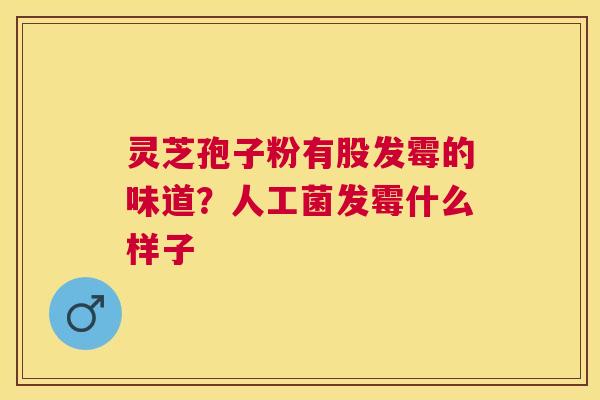 灵芝孢子粉有股发霉的味道?人工菌发霉什么样子 灵芝孢子粉有股发霉的味道?人工菌发霉什么样子