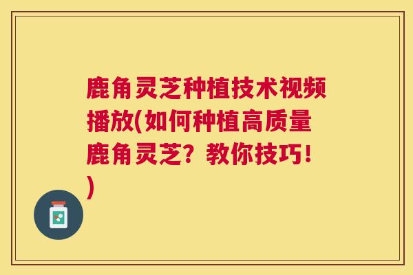 鹿角灵芝种植技术视频播放(如何种植高质量鹿角灵芝?教你技巧!) 鹿角灵芝种植技术视频播放(如何种植高质量鹿角灵芝?教你技巧!)